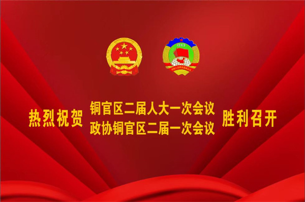 熱烈祝賀公司董事、副總經(jīng)理王從偉被選為 第二屆銅陵市銅官區(qū)政協(xié)常務(wù)委員